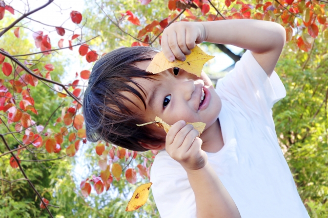 子どもの行動改善
